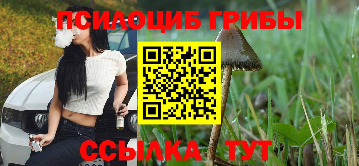 Галлюциногенные грибы мухоморы  Галлюциногенные грибы MAGIC MUSHROOMS  Чайковский  наркотики  Вход с VPN 